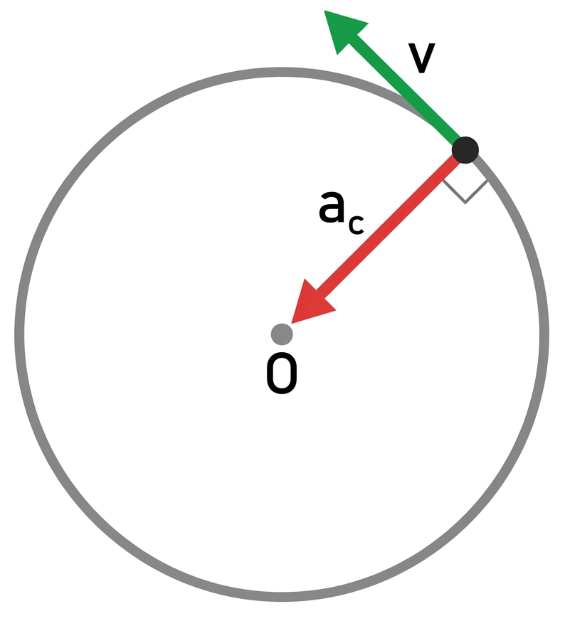 Circular Motion