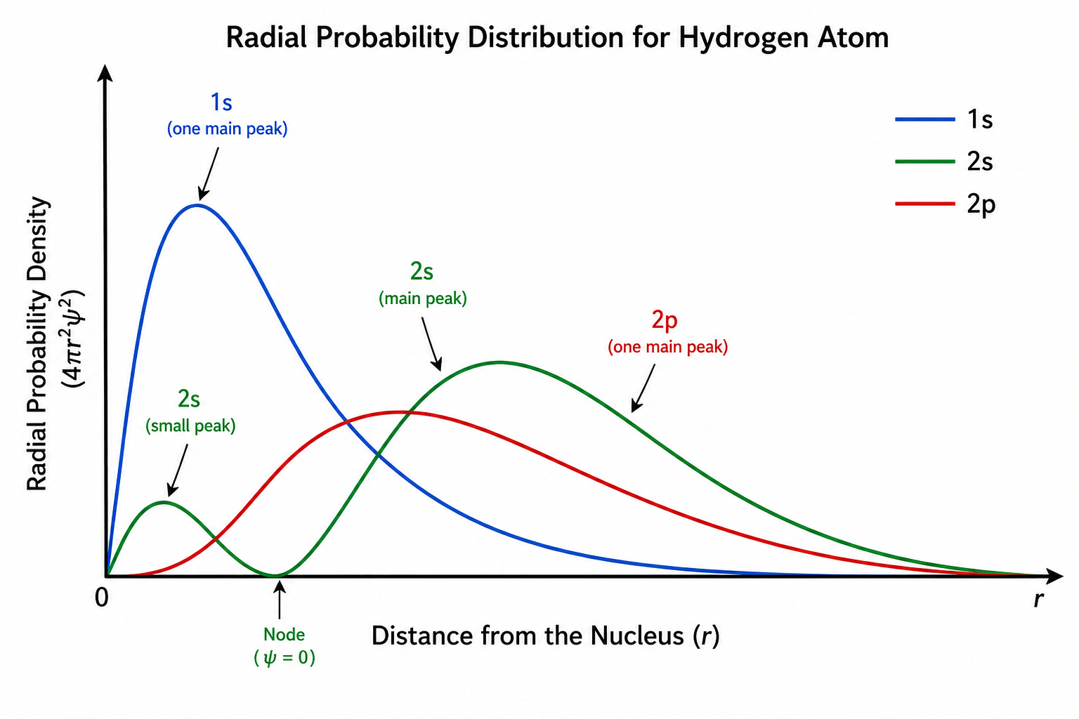 Radial Curves