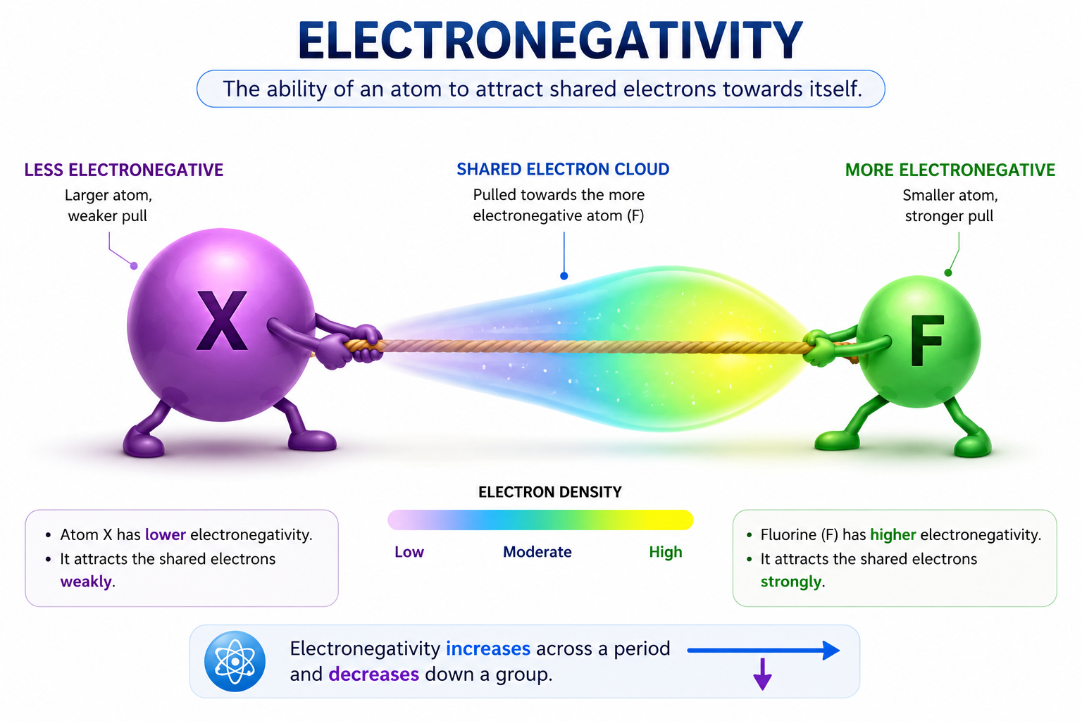 Electronegativity Tug-of-War Infographic