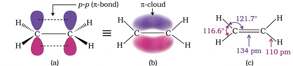 Orbital picture of ethene showing pi bond formation, pi cloud, bond angles and bond length
