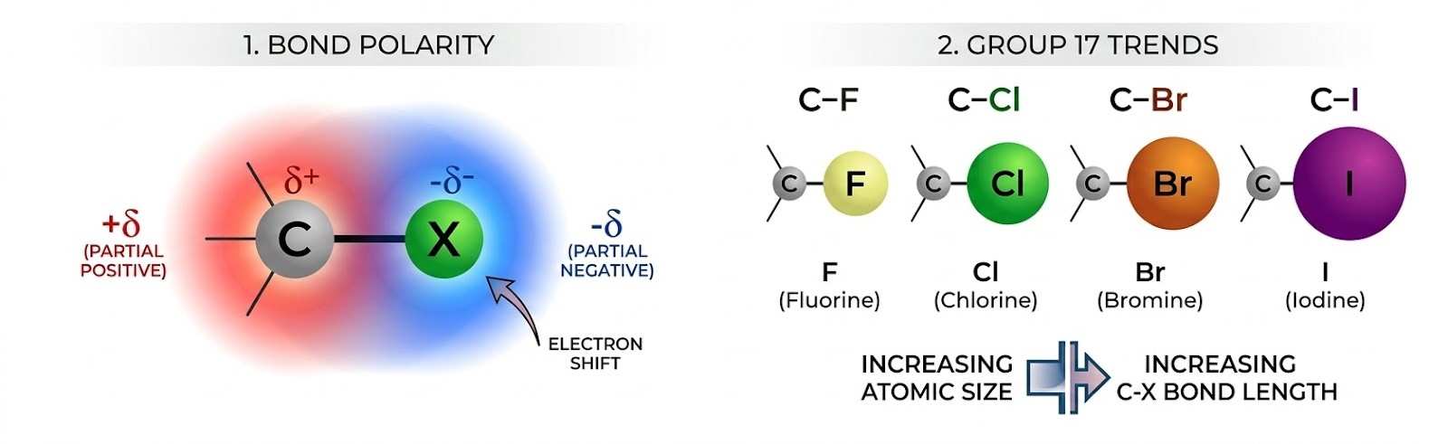 Nature of the C–X Bond