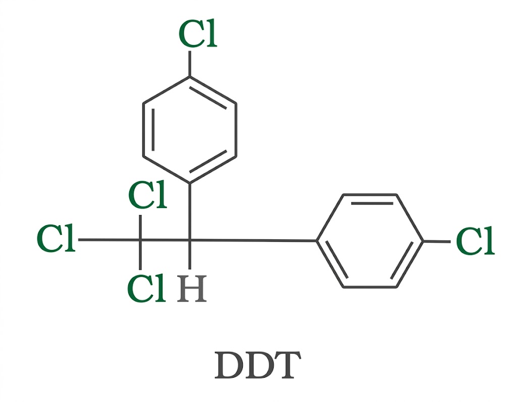 DDT Structure Diagram