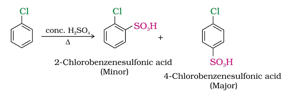 Sulphonation of Chlorobenzene