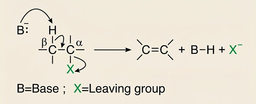 General β-Elimination Reaction