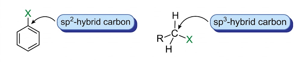 sp² vs sp³ Hybridisation in Haloarenes