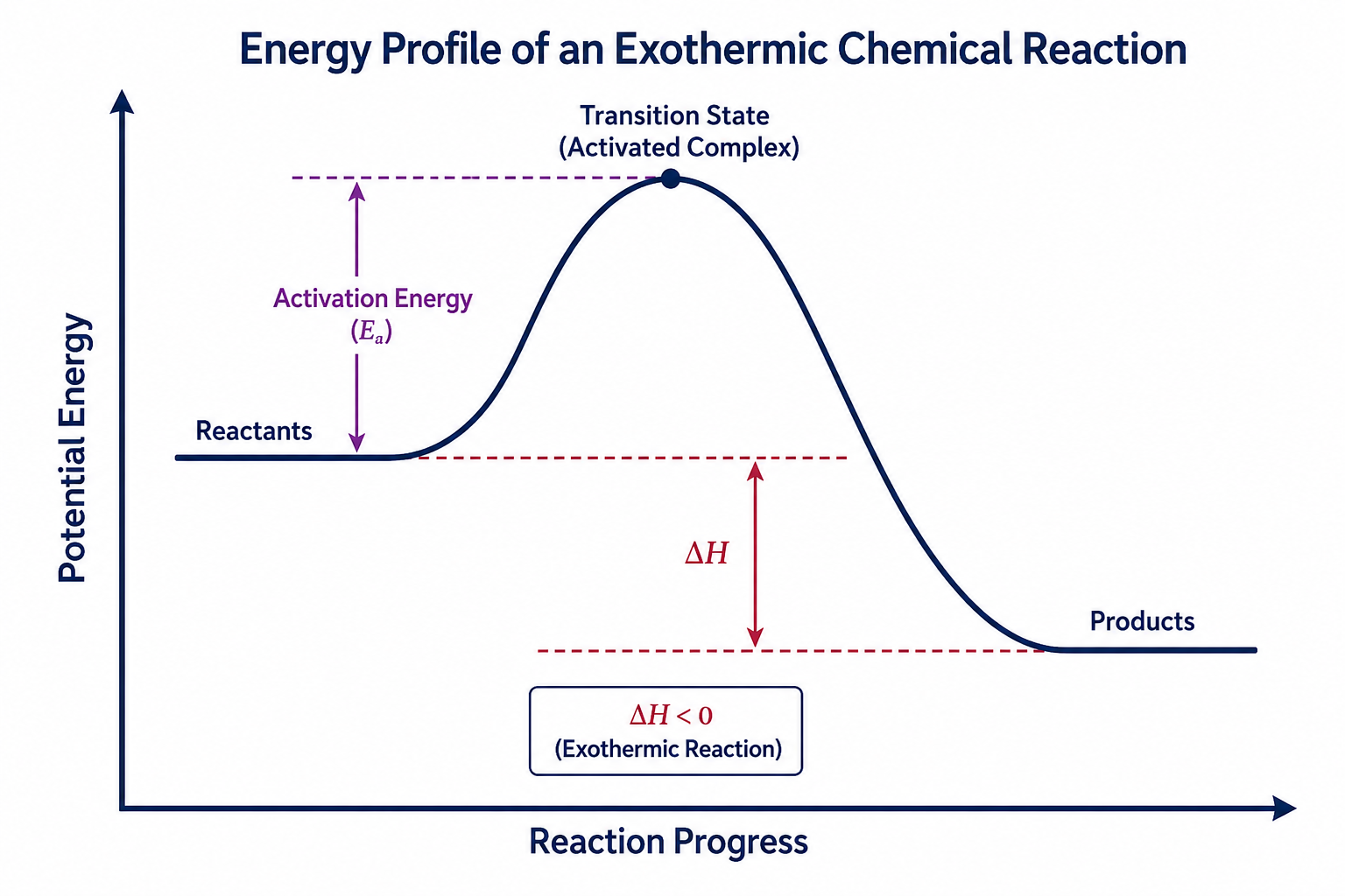 Energy Profile Diagram
