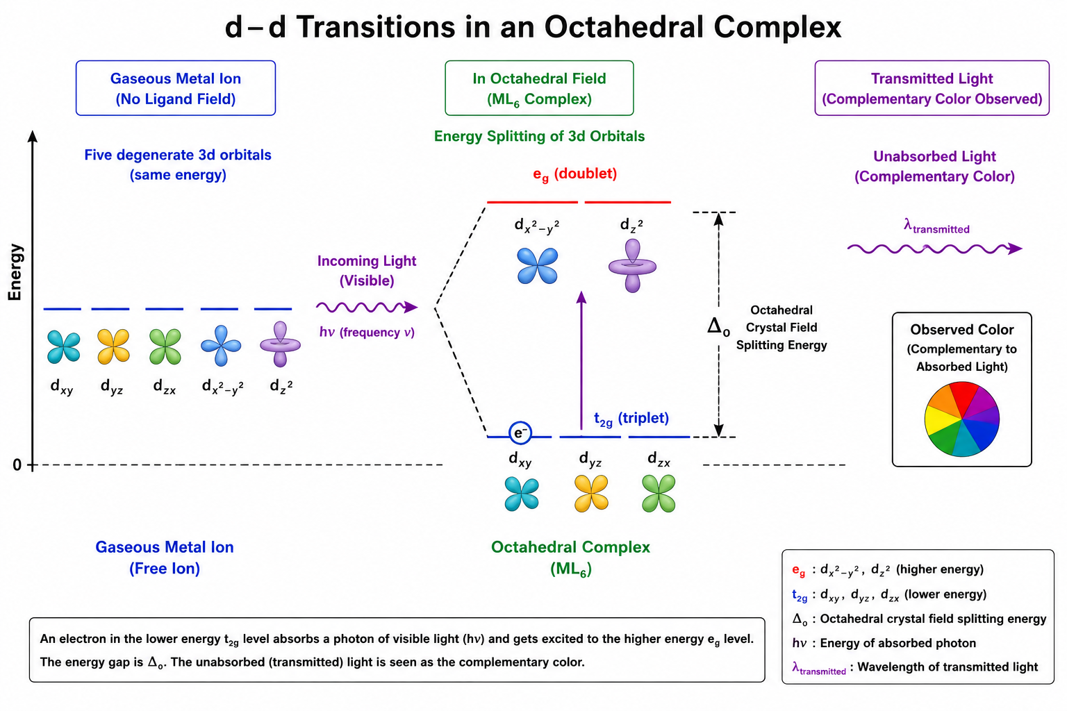 Crystal Field Splitting & d-d Transition Mechanism