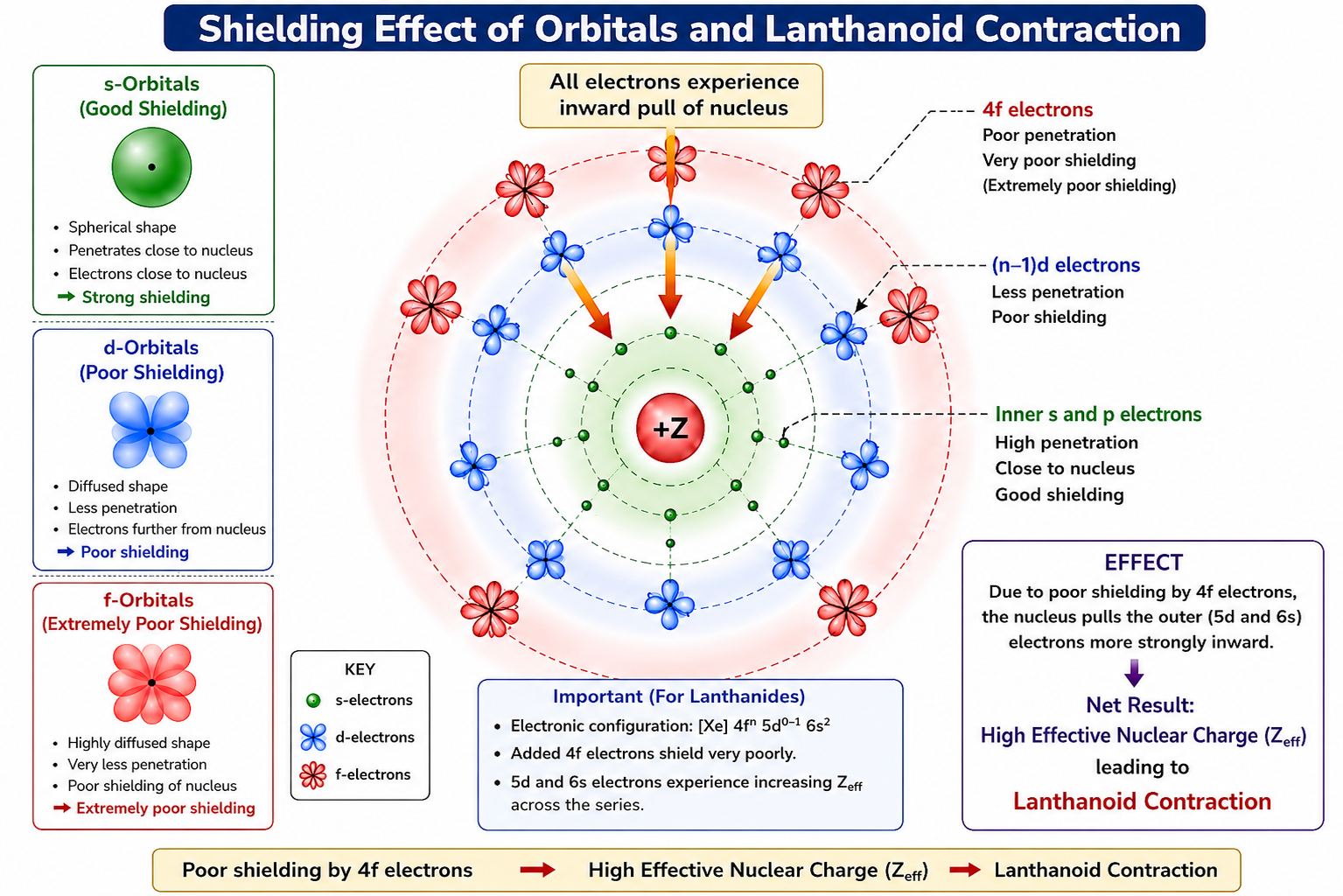 Shielding Effect and Lanthanoid Contraction Infographic