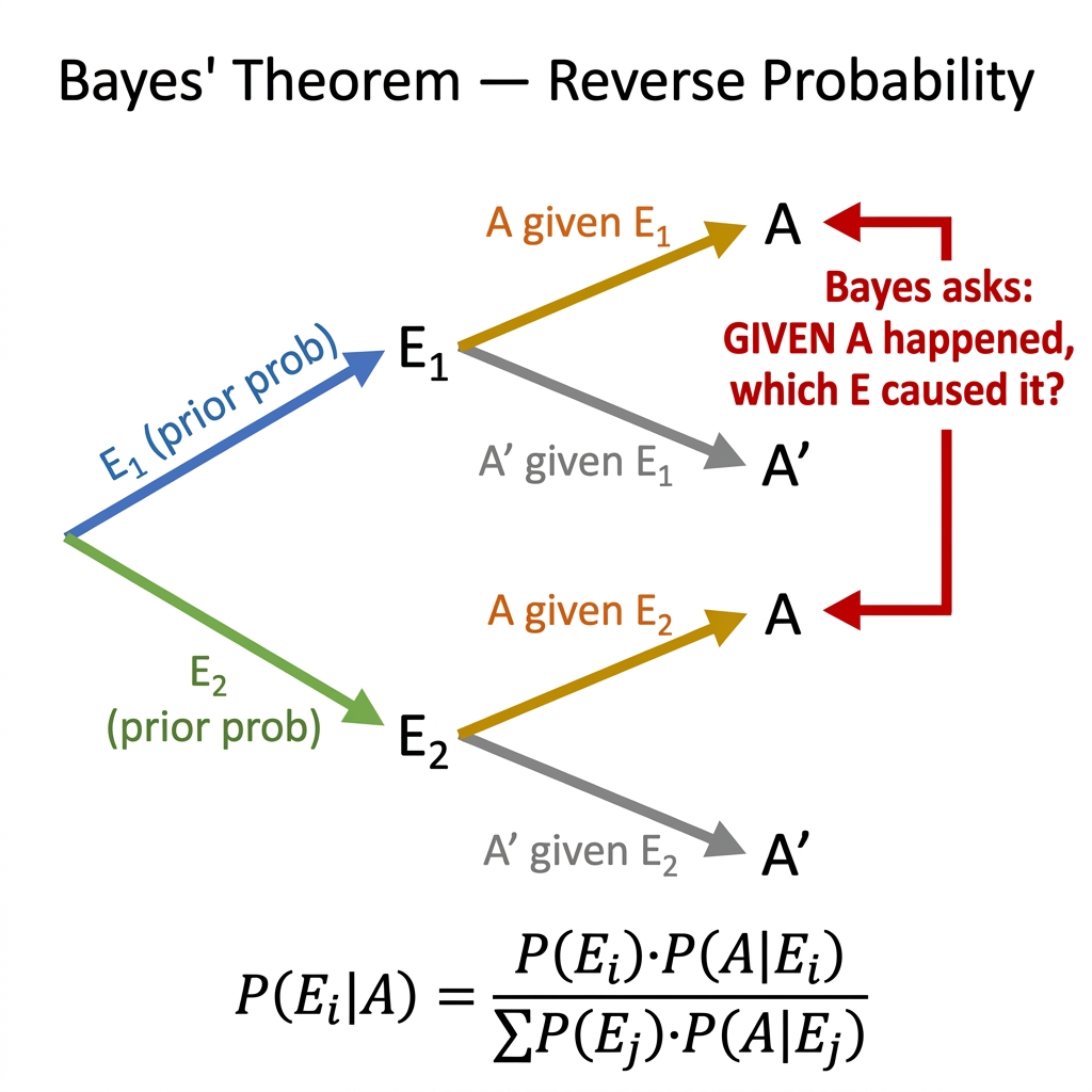 Bayes Theorem Tree Diagram