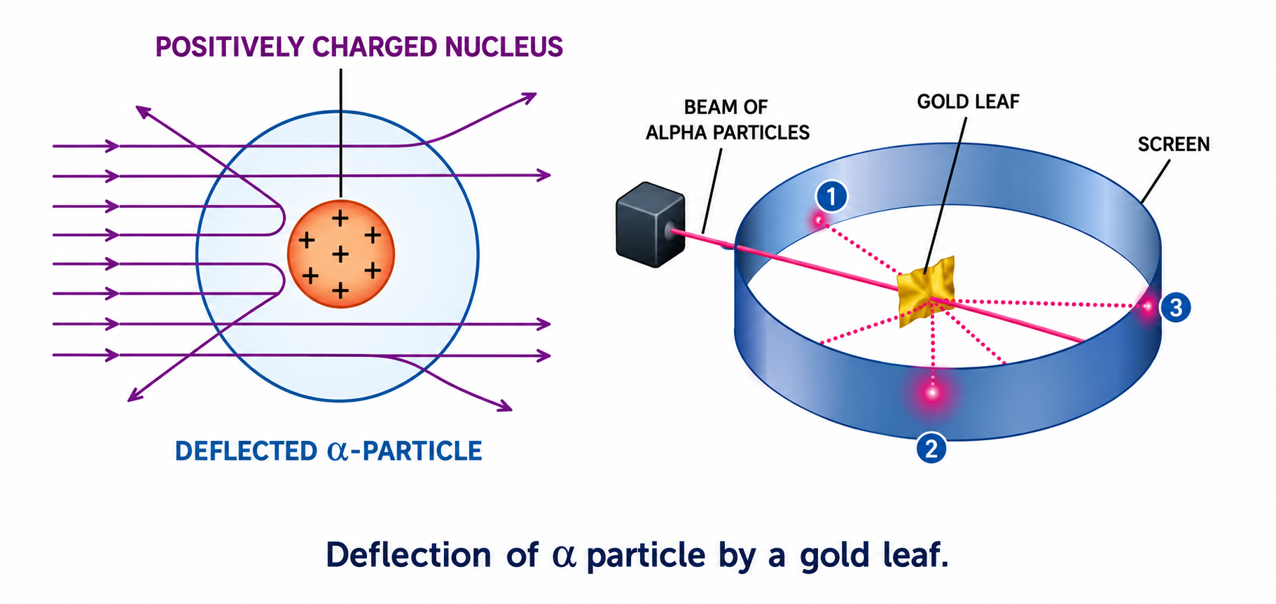 Rutherford Alpha Particle Scattering